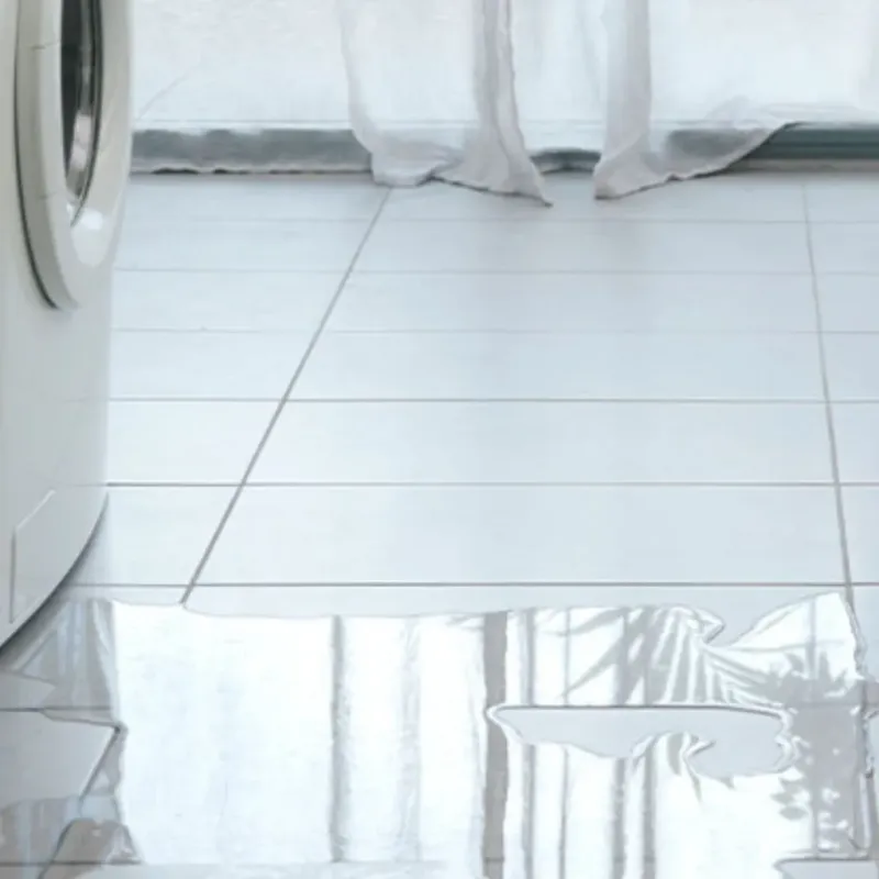Appliance Leak Cleanup in Warren County, MO