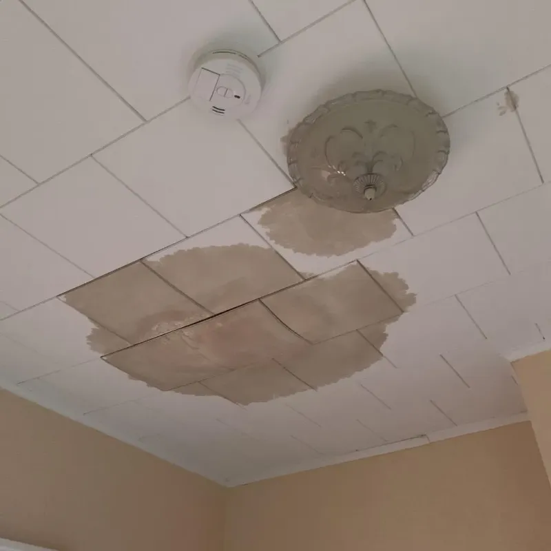 Ceiling Water Damage Repair in Warren County, MO
