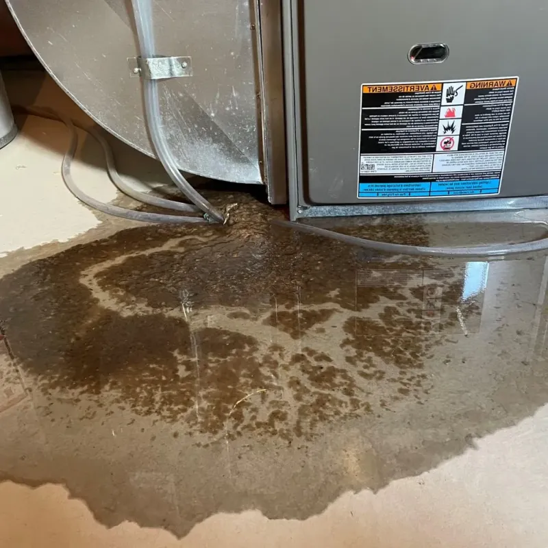 Pipe Burst and Leak Restoration in Warren County, MO