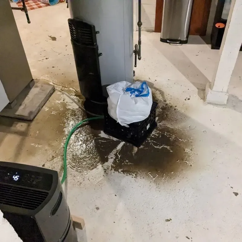 Sewage Backup Cleanup Service in Warren County, MO